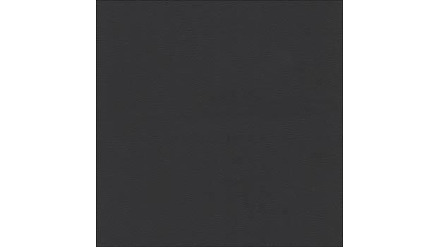 Black Leather