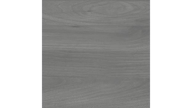Modern Gray