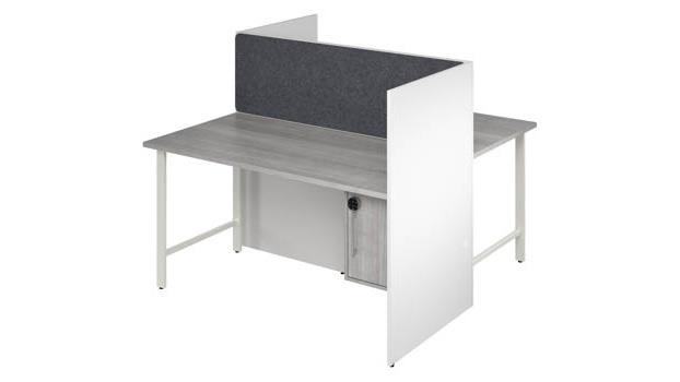 White/Platinum Gray