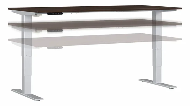 Black Walnut/Silver Base