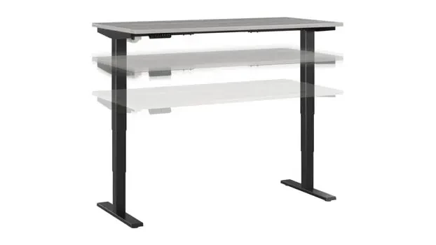 Platinum Gray/Black Base