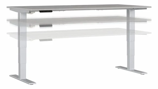 Platinum Gray / Silver Base