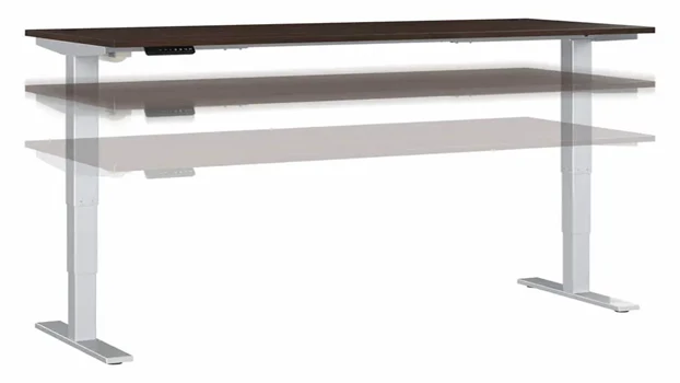 Black Walnut/Silver Base