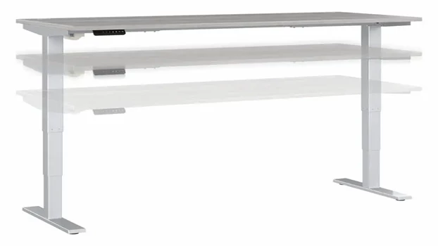 Platinum Gray / Silver Base