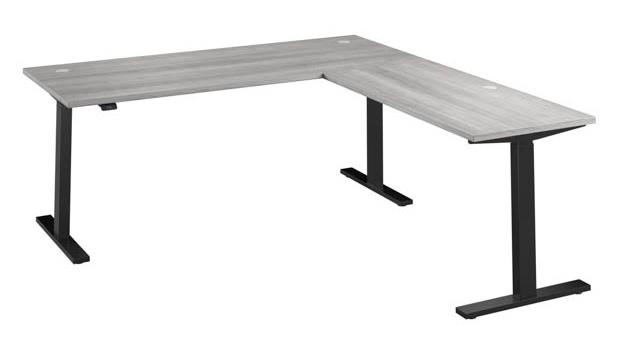 Platinum Gray/Black Base