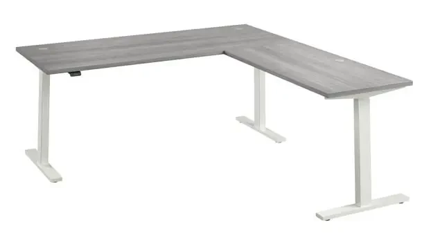 Platinum Gray/White Base