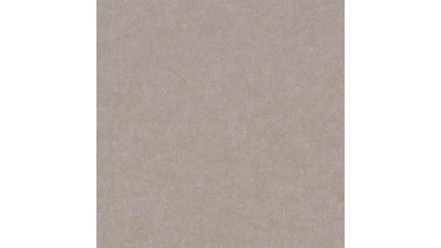 Warm Beige