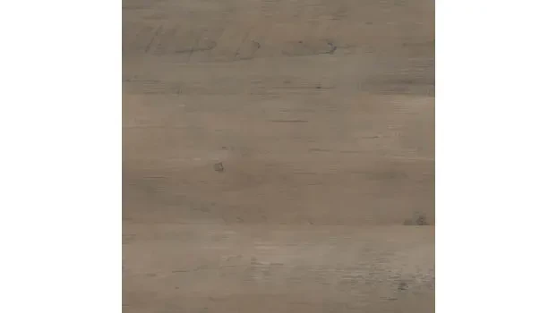 Driftwood Gray