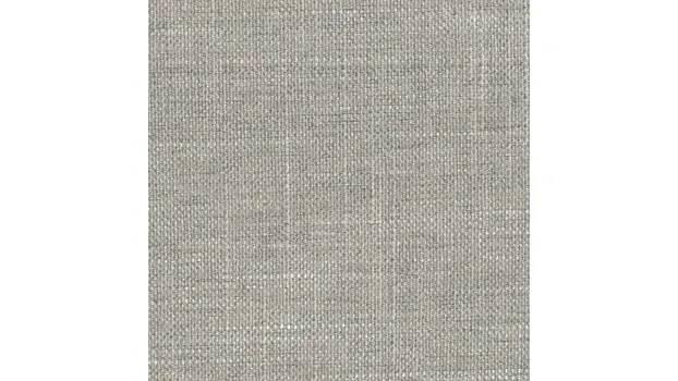 Light Gray Fabric