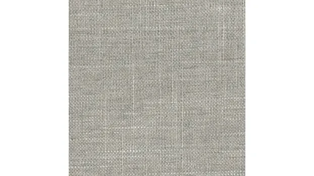 Light Gray Fabric