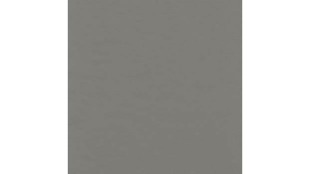 Light Gray Leather