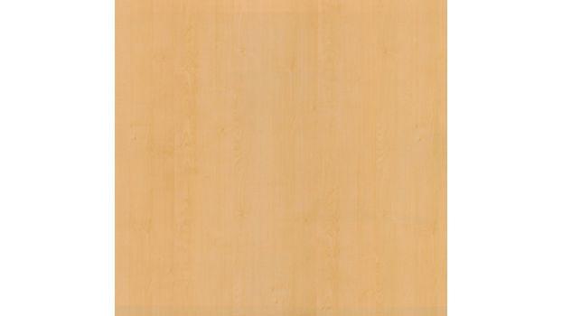 Northern Maple