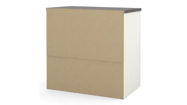 Lateral File Back View