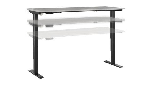 Platinum Gray/Black Base