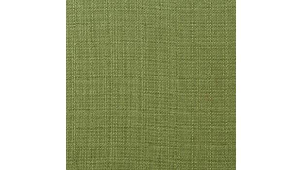 Kashmir Green