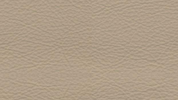 Latte Leather