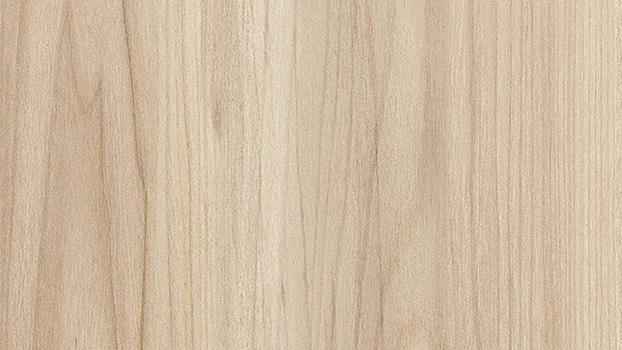 American Elm