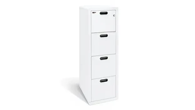 Arctic White