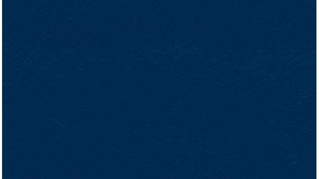 Navy Vinyl