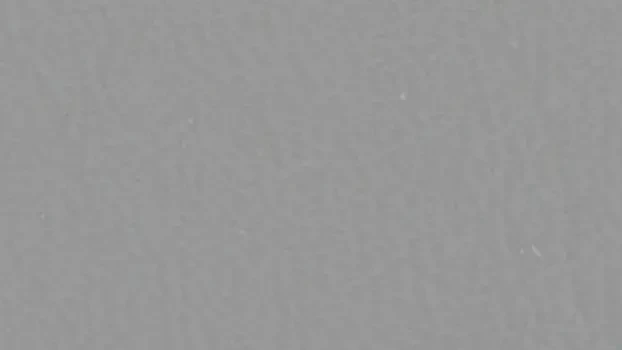 Grey Nebula Top
