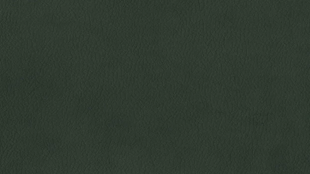 Black Dillon Polyurethane