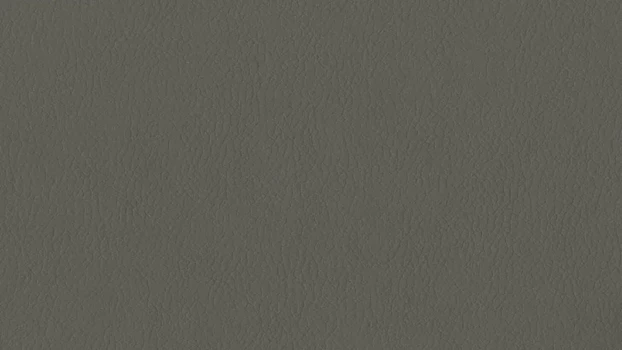 Graphite Dillon Polyurethane 