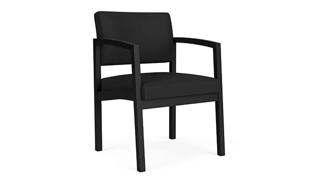 Dillon Polyurethane Black - Black Frame