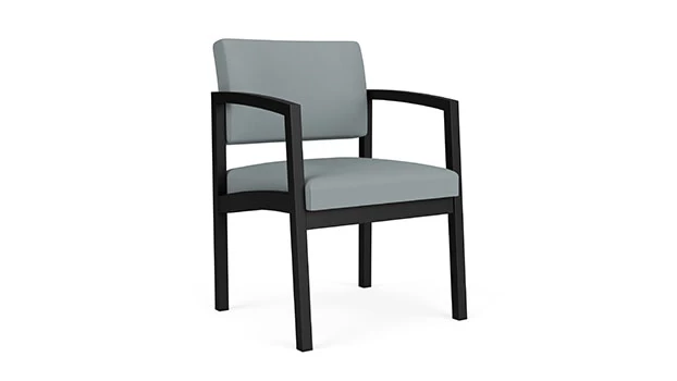 Black Frame /Dillon Poly - Lucid 