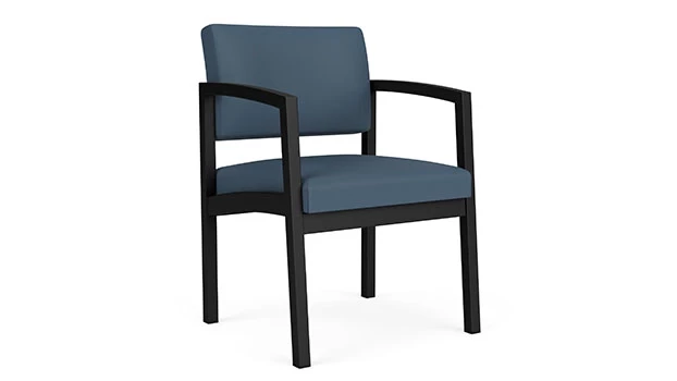 Dillon Polyurethane Williamsburg - Black Frame