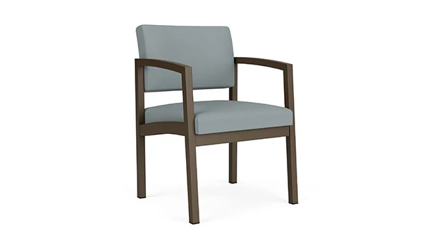 Bronze Frame / Dillon Poly - Lucid