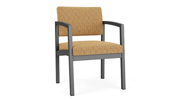 Charcoal / Adler Fabric - Golden