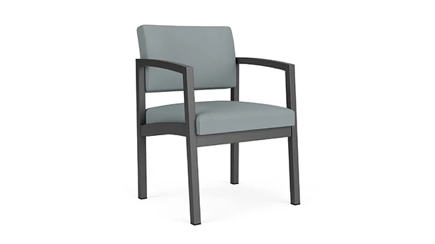 Charcoal Frame / Dillon Polyurethane - Lucid