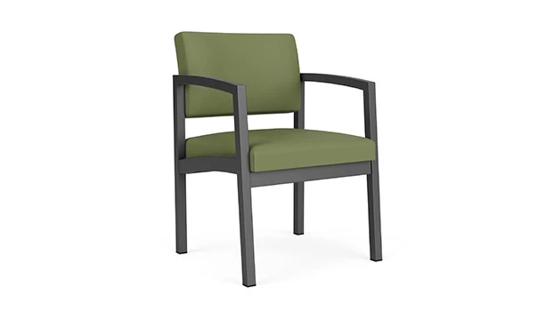 Charcoal Frame / Dillon Poly - Sage