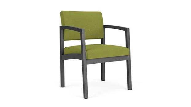 Charcoal Frame / Open House Fabric - Green Apple