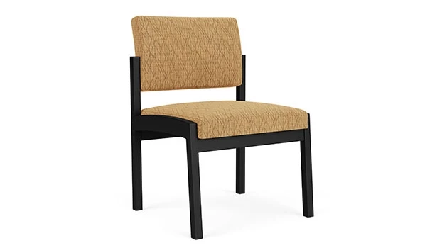 Black / Adler Fabric - Golden