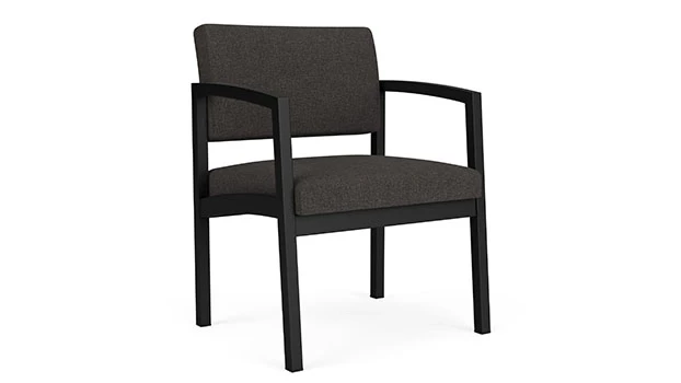 Archetype Smake Fabric - Black Frame