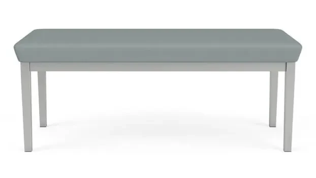 Dillon Lucid / Silver Frame