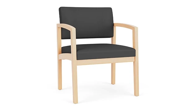 Dillon Polyurethane Graphite - Natural Wood Frame