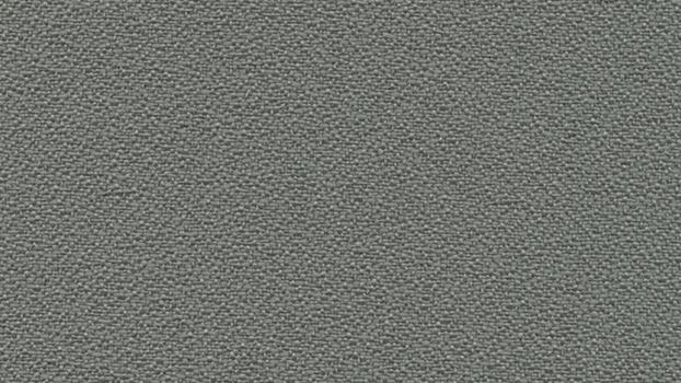 Asteroid Open House Fabric