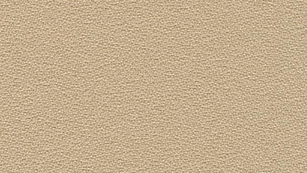 Open House Fabric - Birch