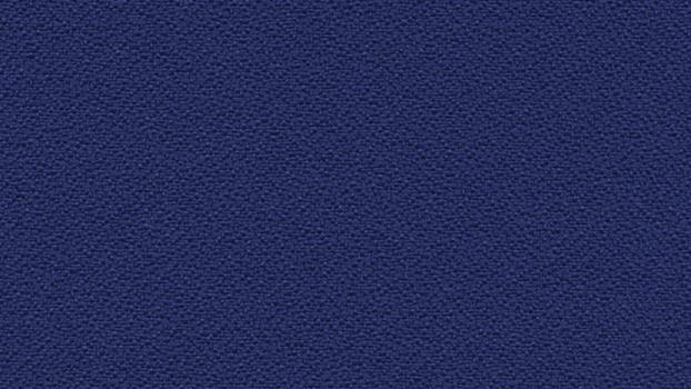 Cobalt Open House Fabric