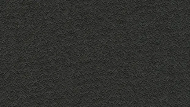 Open House Fabric - Graphite