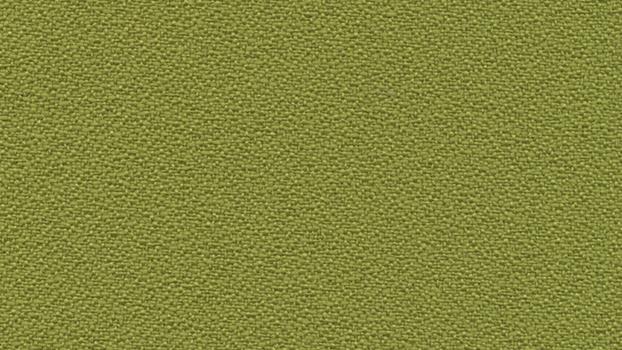 Open House Fabric - Green Apple
