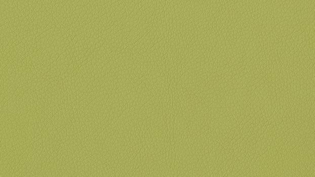 Dillon Polyurethane - Apple Green