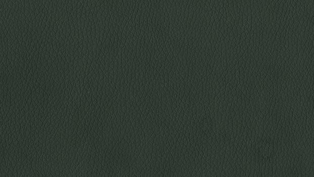 Dillon Polyurethane - Black
