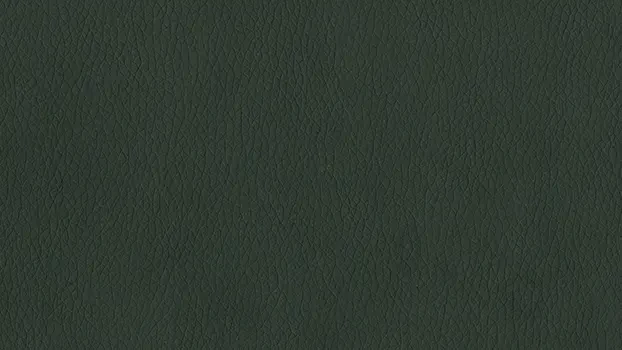 Dillon Polyurethane - Black