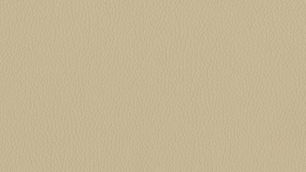 Dillon Polyurethane - Buff