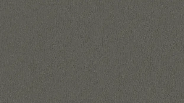 Dillon Polyurethane - Graphite