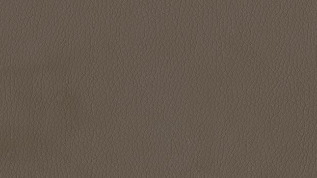 Dillon Polyurethane - Java
