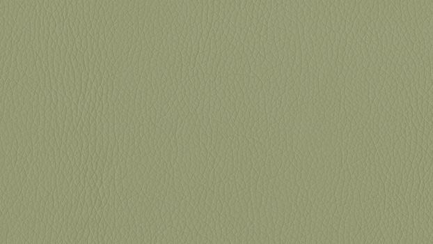 Dillon Polyurethane - Sage